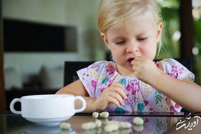 بادام زمینی 